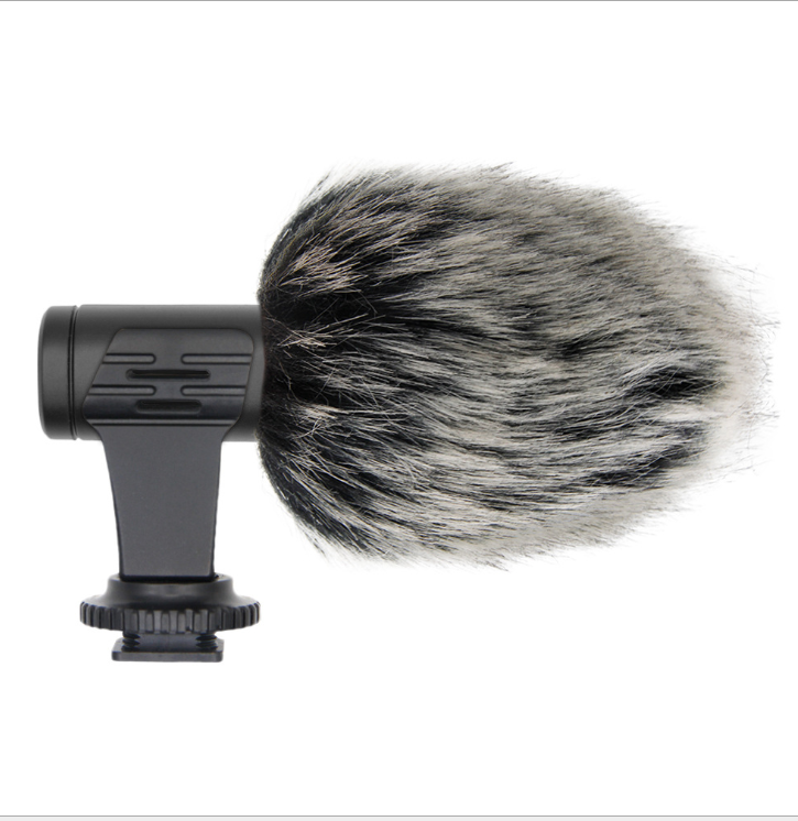 Photo recording microphone