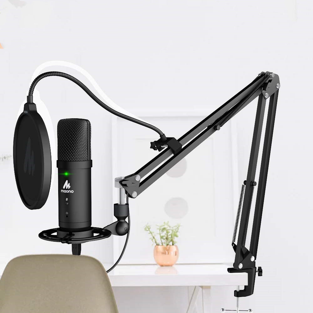 PM401 SB Microphone