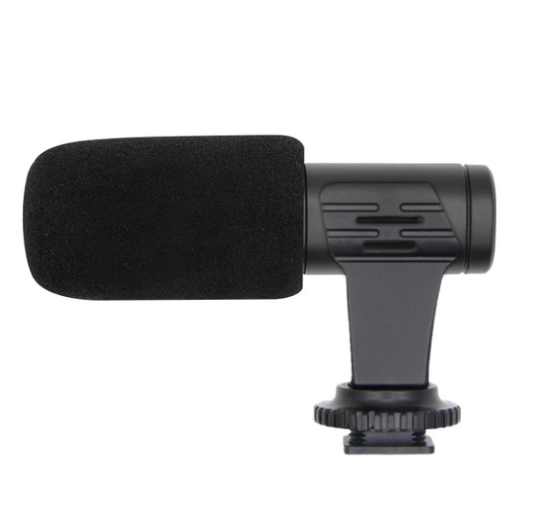 Photo recording microphone