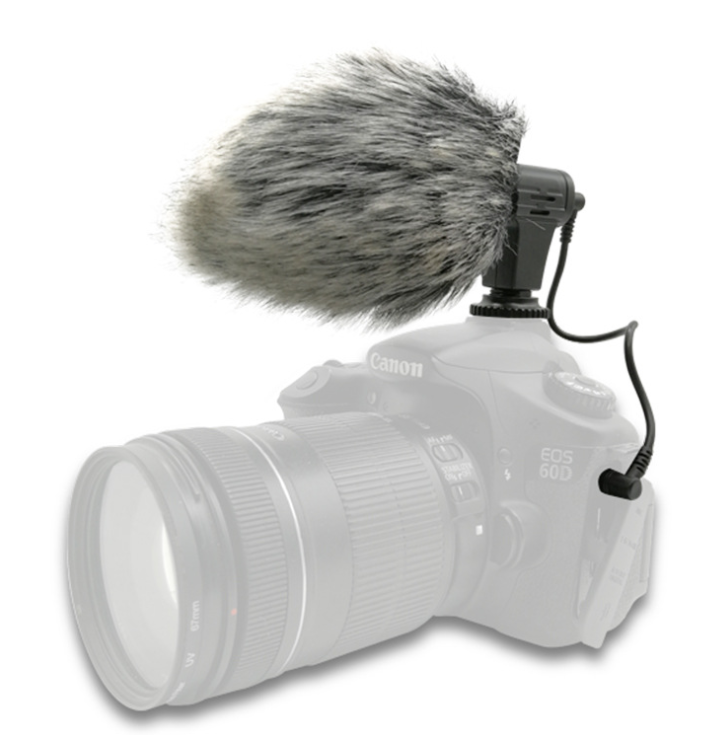 Photo recording microphone